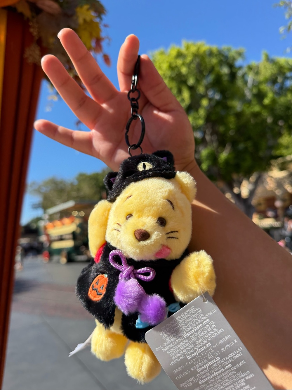 Disney Pooh Plush in Black Cat Halloween Outfit keychain - Picture 3 of 3